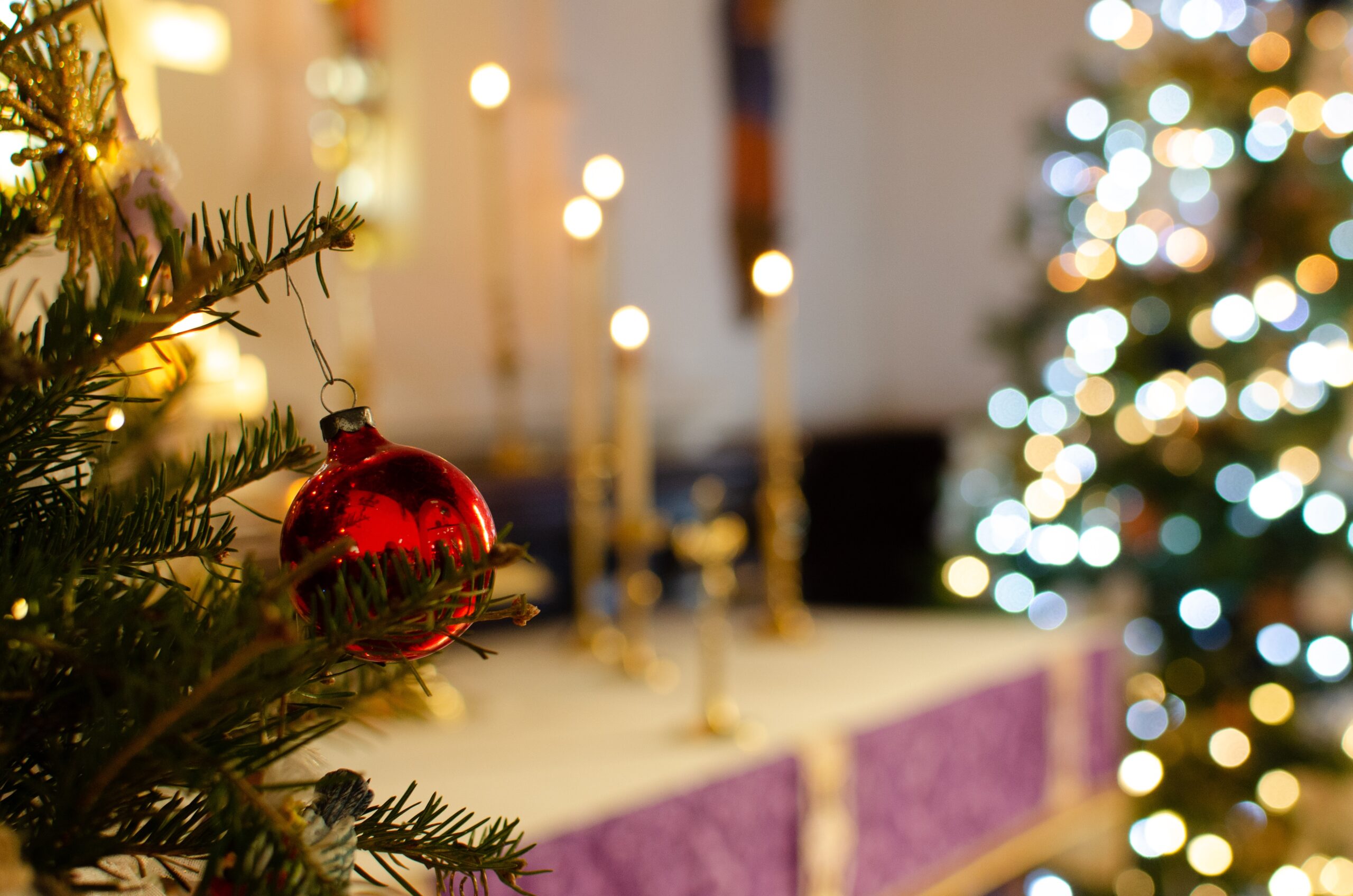 Read more about the article Charity Christmas Tree Festival 2023